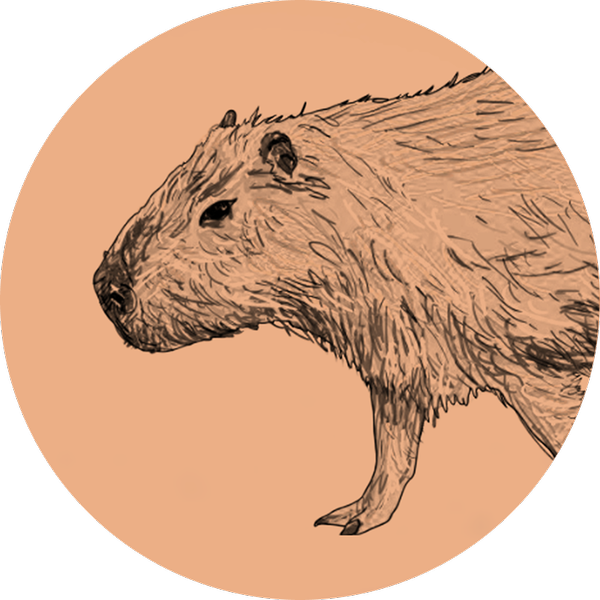 CapyCapy Studio Logo